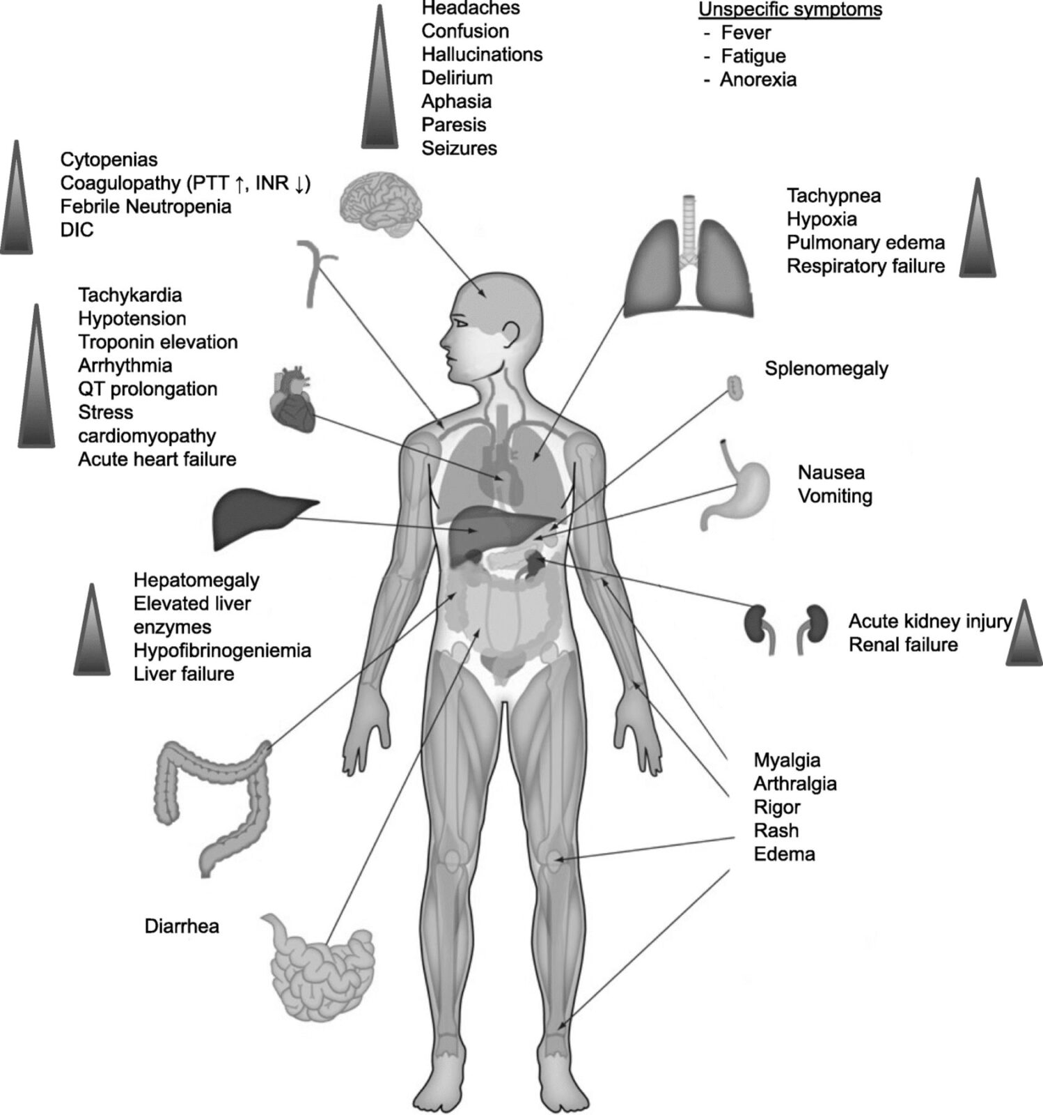 Journal of cancer and testosterone effects